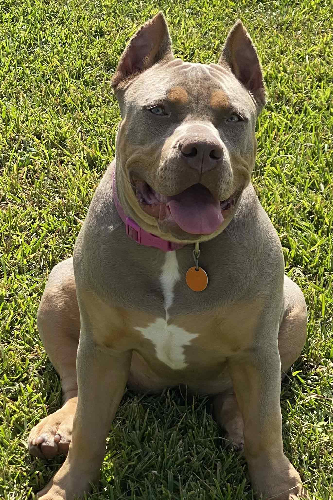 Advanced Technology with a Gentle Touch