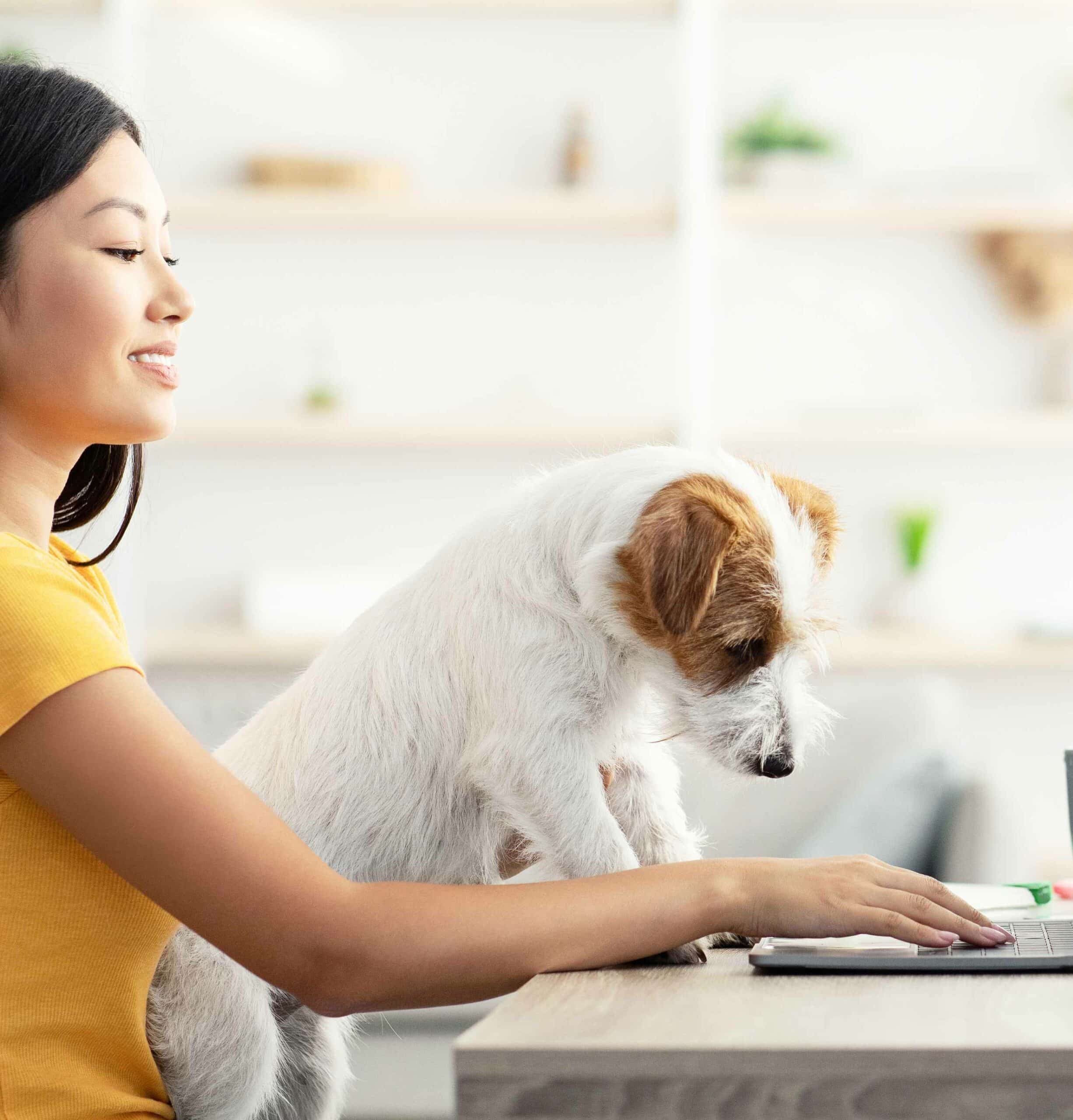 Auto-Refills and Shipping Options