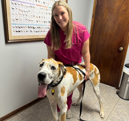 General Wellness & Preventative Care