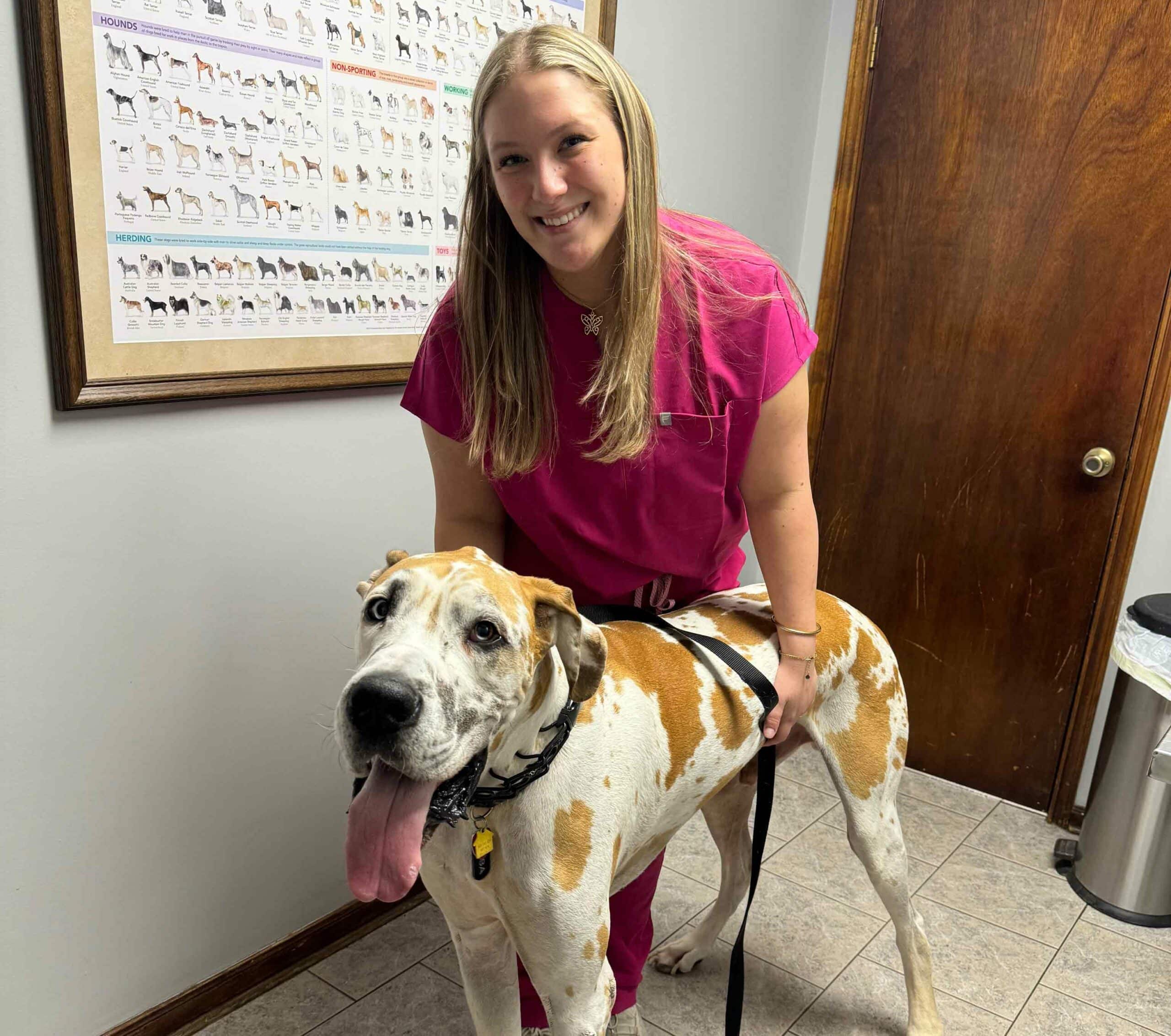 General-Wellness-&-Preventative-Care-for-Pets-in-the-Acadiana-Region Photo