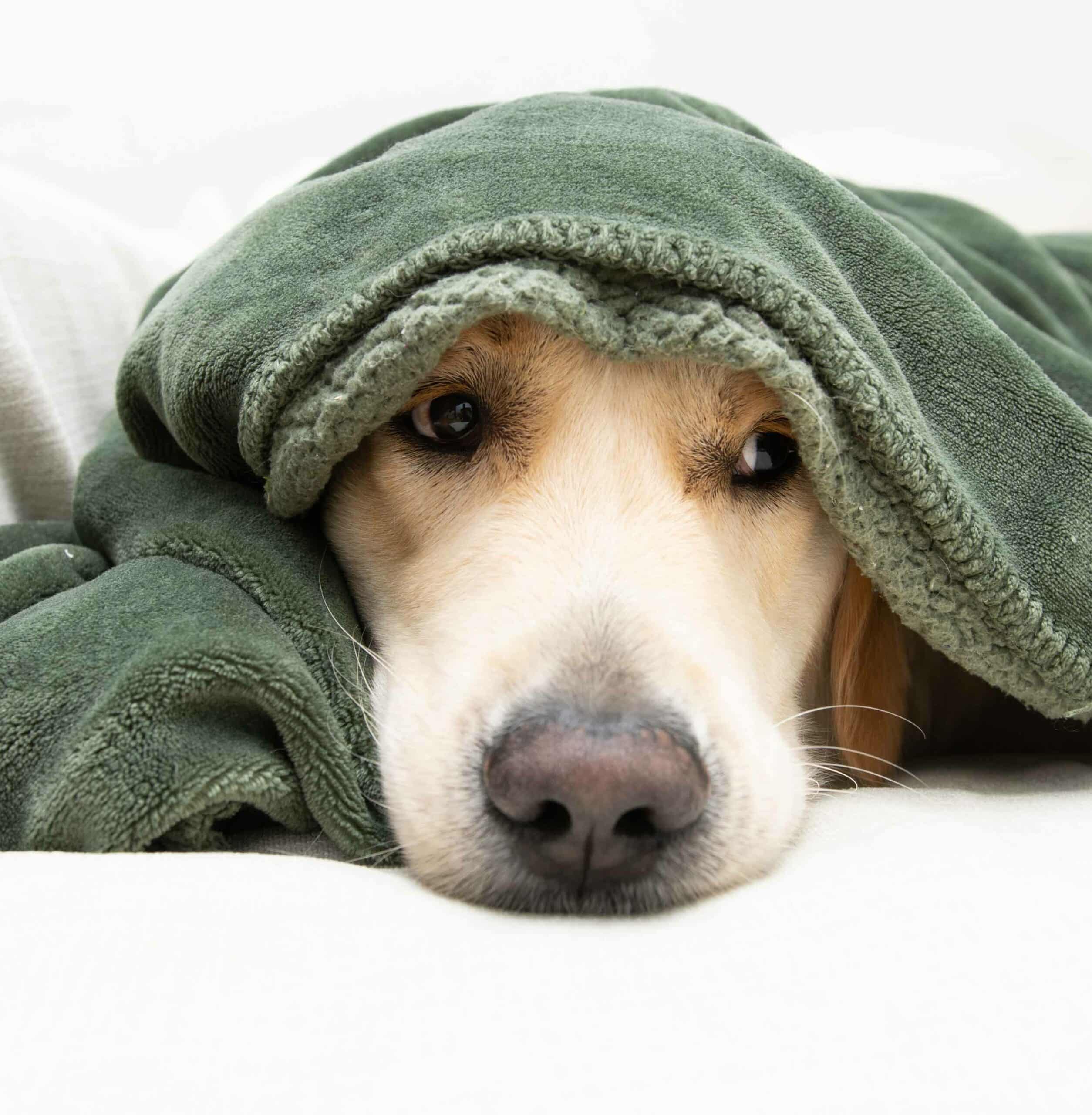 Pain Management & Senior Care