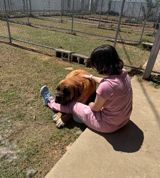 Treatment Options for Pain Relief and Mobility Support