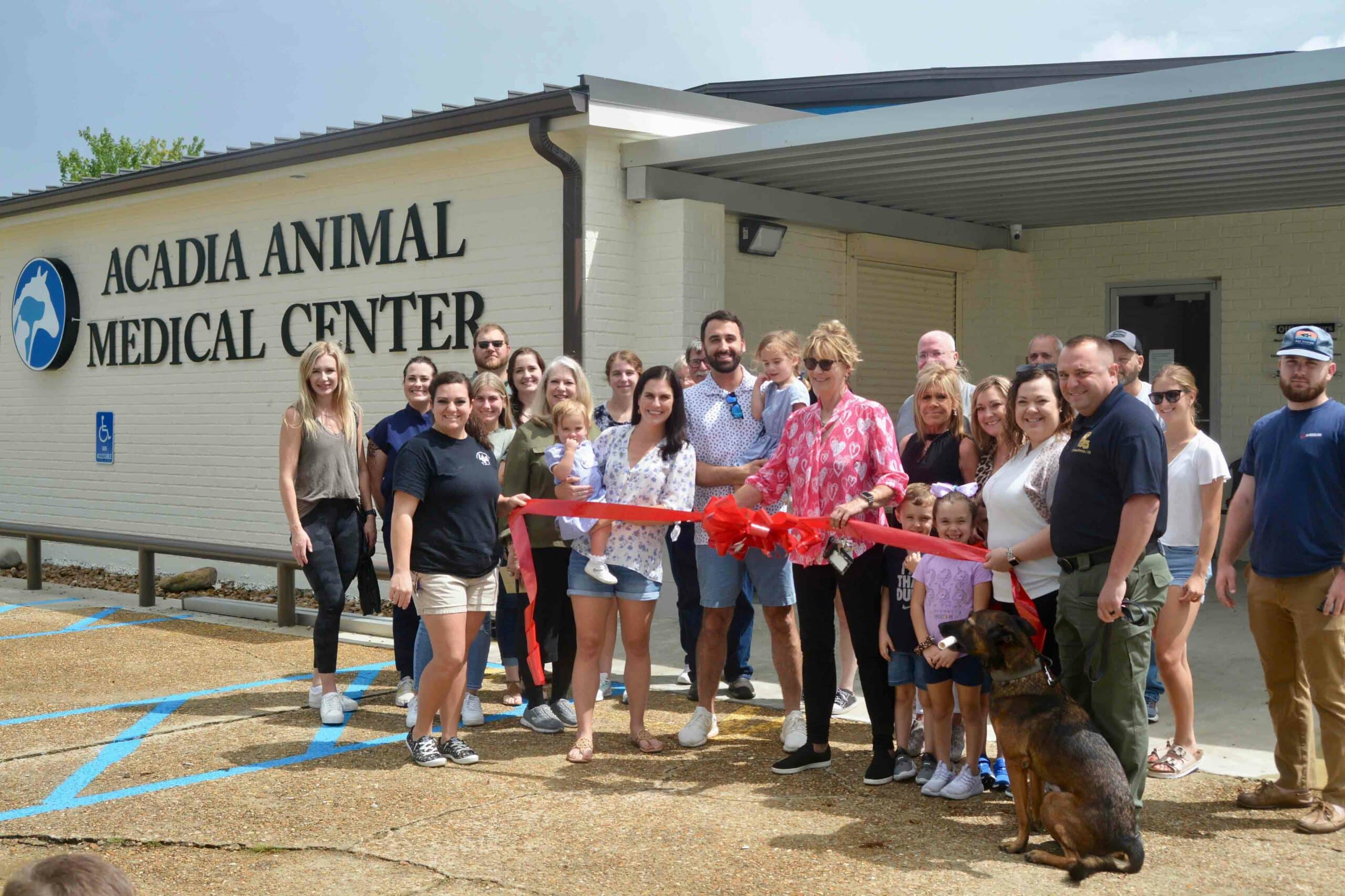 Welcome to Acadia Animal Medical Center
